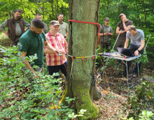 Szkolenie pracowników z oceny stanu zdrowotnego drzew