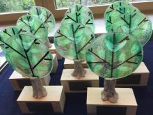 Zespół Szkolno-Przedszkolny w Bierzwniku laureatem Nagrody Czarodziejskiego Drzewa 2021